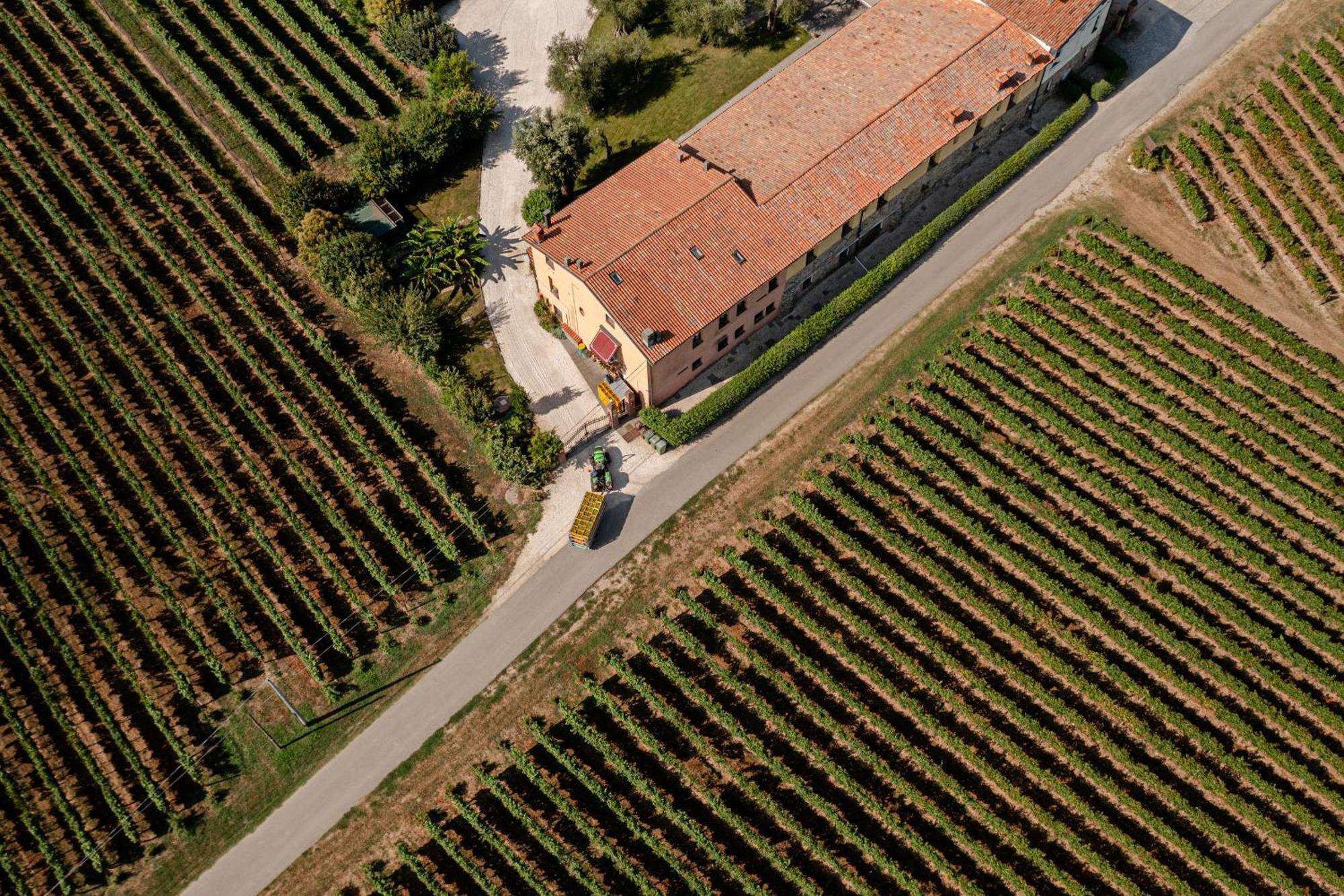 Agriturismo Ripa Del Bosco Capriolo Exterior foto